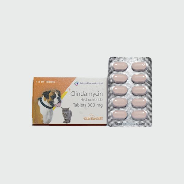Clindaret Antibiotics