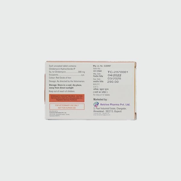 Clindaret Antibiotics